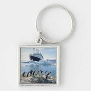 Chaveiro Um grupo de pinguins que estão em uma praia gelad