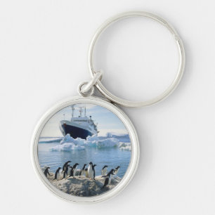Chaveiro Um grupo de pinguins que estão em uma praia gelad