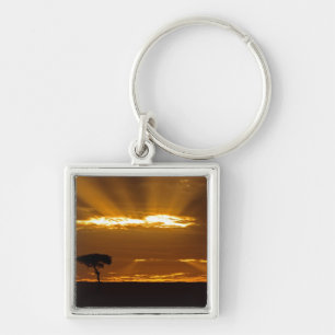 Chaveiro Um nascer do sol com a boca aberta no Maasai Mara
