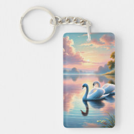 Chaveiro Um par de pântanos a planar num lago sereno