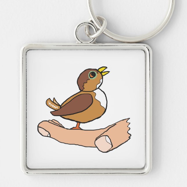 Chaveiro Um Pássaro Na Mão (Frente)