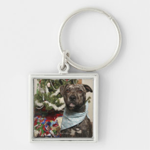 Chaveiro Um pitbull que levanta para um retrato do Natal