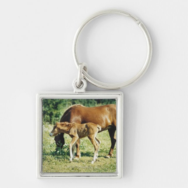 Chaveiro Um potro e um cavalo em um pasto (Frente)