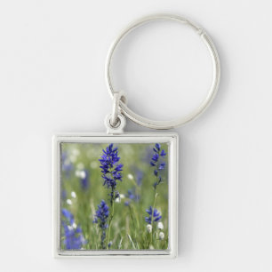Chaveiro Um prado montanhoso de flores silvestres incluindo