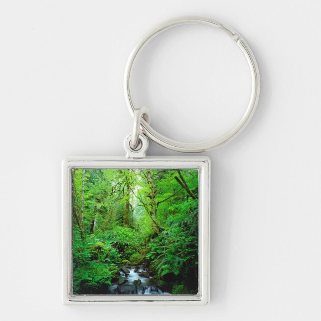 Chaveiro Um riacho em uma floresta primária (Frente)