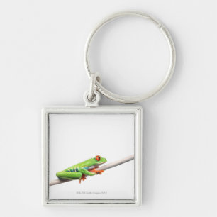 Chaveiro Um sapo que pendura sobre
