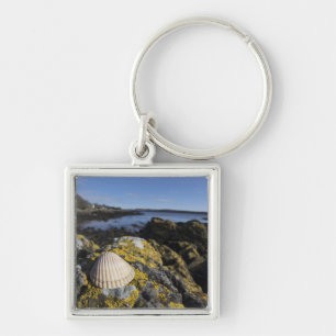 Chaveiro Um Seashell senta-se em uma rocha Dumfries,
