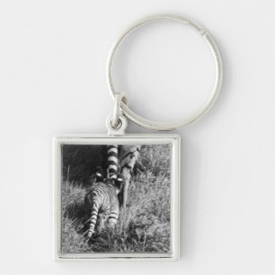 Chaveiro Um tigre com seus dois filhotes no jardim