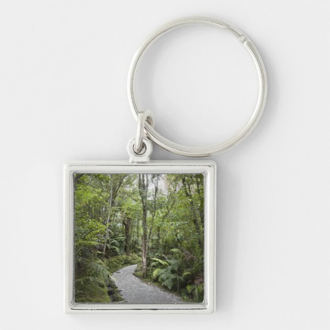 Chaveiro Um trajeto através de uma floresta tropical na (Frente)