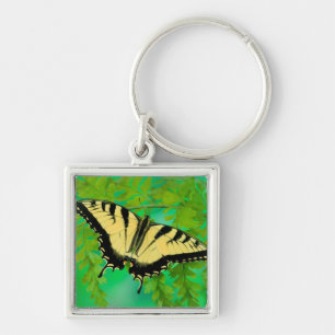 Chaveiro Uma aterragem da borboleta de Swallowtail