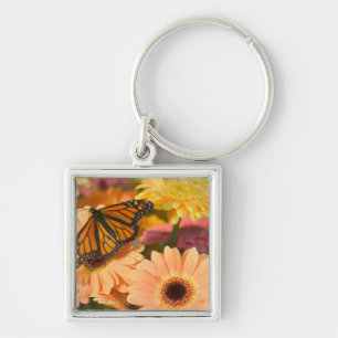 Chaveiro Uma borboleta de casaco de lamentação