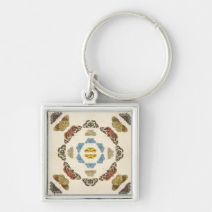 Chaveiro Uma descrição rara das borboletas e das traças
