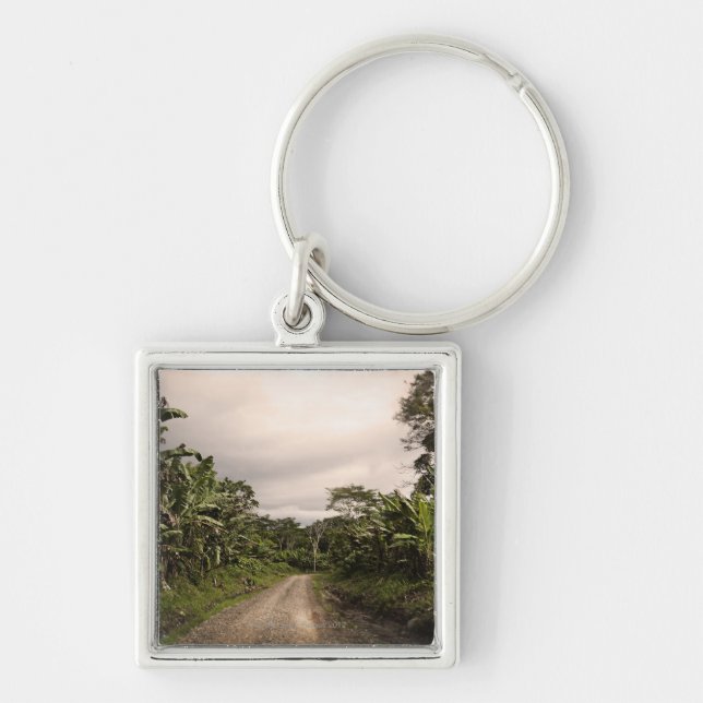 Chaveiro Uma estrada remota da selva (Frente)