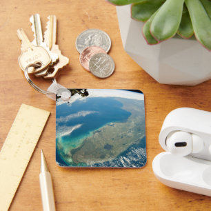 Chaveiro Uma Flórida Oblíqua, Na Costa Sudeste