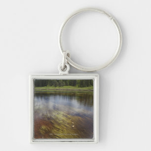 Chaveiro Uma lagoa imóvel que reflete as nuvens