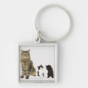 Chaveiro Uma mãe com seus quatro gatinhos todo o assento