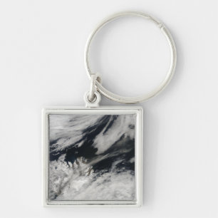 Chaveiro Uma pena cinzenta pálida da cinza funde da cimeir