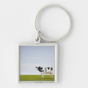 Chaveiro Uma vaca de leiteria de Holstein com os pontos na