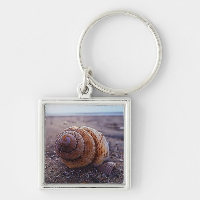 Chaveiro Uma vista macro de Shell espiral (Frente)