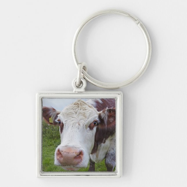 Chaveiro Única vaca que peerring na câmera (Frente)