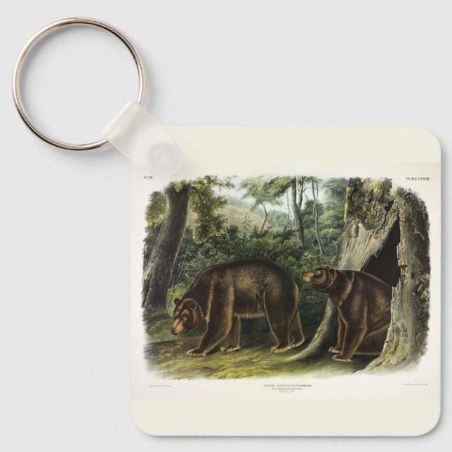 Chaveiro Urso Cinamão dos Quadrupes de Audubon (Frente)