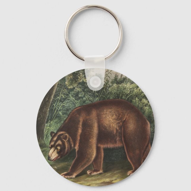 Chaveiro Urso Cinamão (Ursus Americanus var. Canela) (Frente)