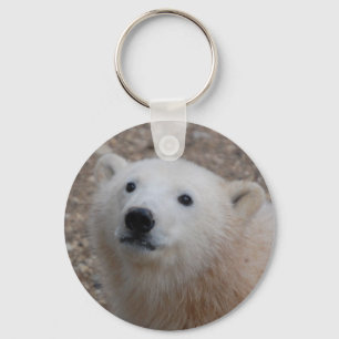 Chaveiro Urso Cub polar