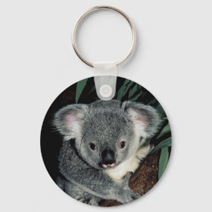 Chaveiro Urso de Koala bonito