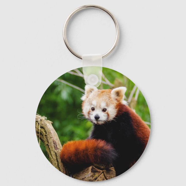 Chaveiro Urso de Panda Vermelho Bonito (Frente)