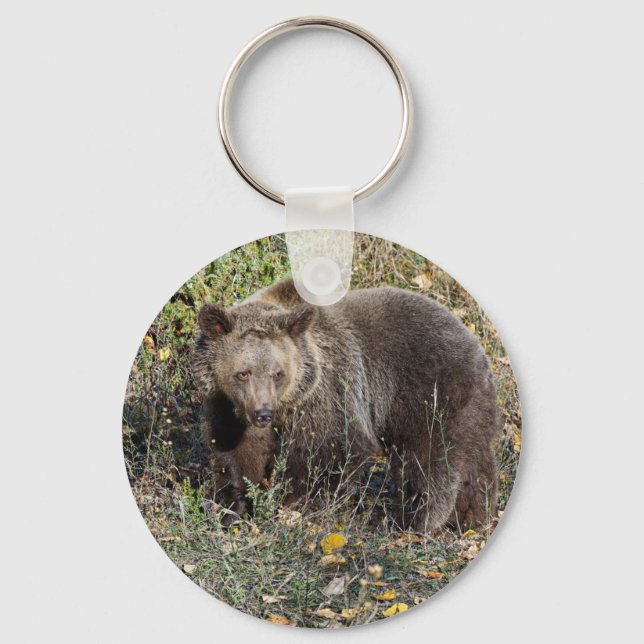 Chaveiro Urso Grizzly (Frente)