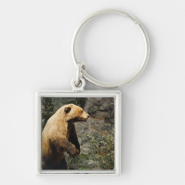 Chaveiro Urso Orgulhoso (Frente)