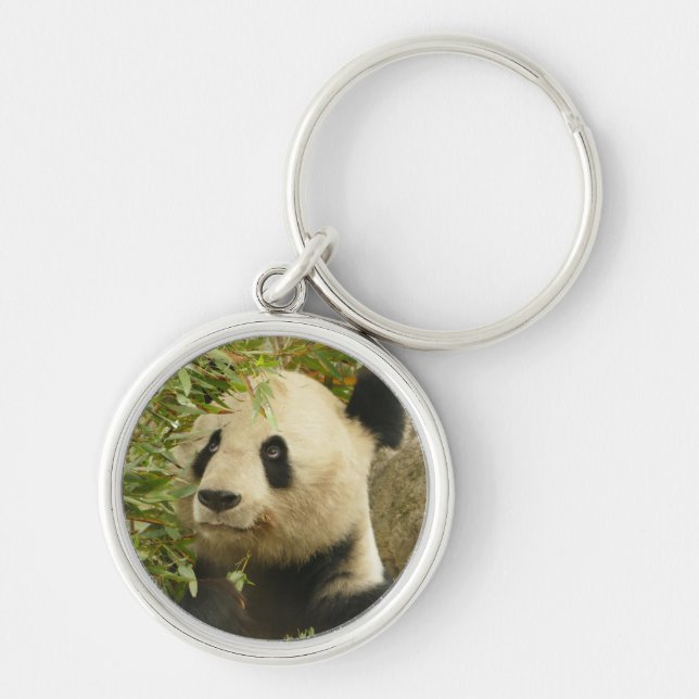 Chaveiro urso panda ursos personalizar Aniversários (Frente)