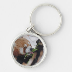 Chaveiro urso panda ursos personalizar Aniversários