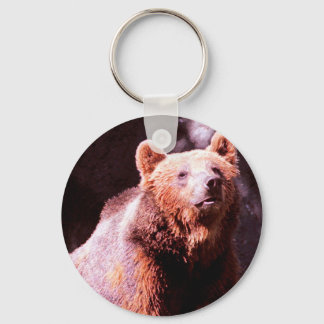 Chaveiro urso pardo