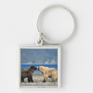 Chaveiro Urso pardo, urso cinzento, brincar na praia,