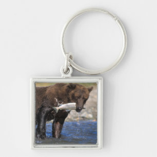 Chaveiro Urso pardo, urso cinzento, com captura de salmão,