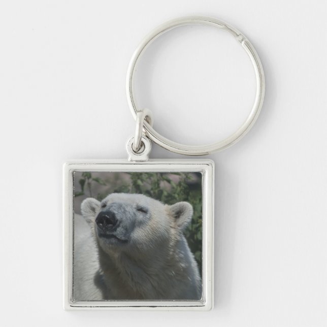 Chaveiro Urso Polar (Frente)