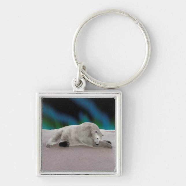 Chaveiro Urso Polar Descansando (Frente)