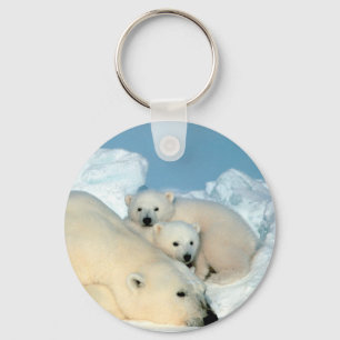 Chaveiro Urso Polar e Cubs ameaçados por Steve Amstrup