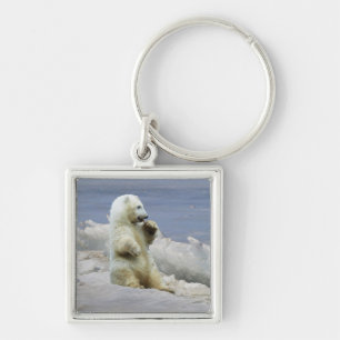 Chaveiro Urso Polar Fofo e Gelo Ártico