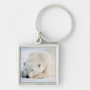 Chaveiro Urso Polar no inverno