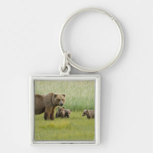 Chaveiro Ursoaia Urso Marrom do Alasca e três filhotes, Urs