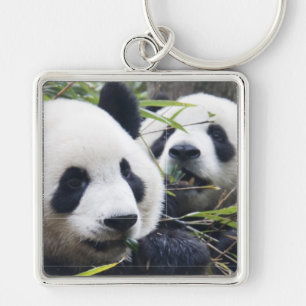 Chaveiro Ursos de panda