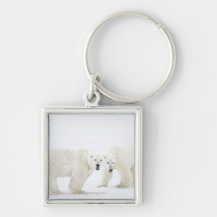 Chaveiro Ursos polares que estão na neve após ter jogado 