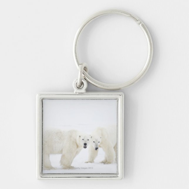 Chaveiro Ursos polares que estão na neve após ter jogado 2 (Frente)