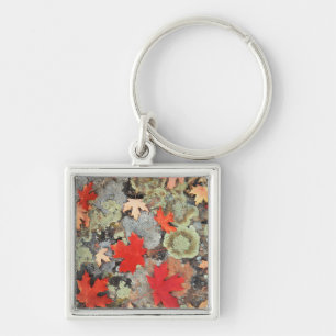 Chaveiro Utah, Floresta Nacional de Fishlake.Padrões