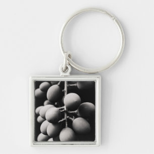 Chaveiro uvas para um dia azedo