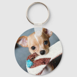 Chaveiro Vá buscar Chihuahua