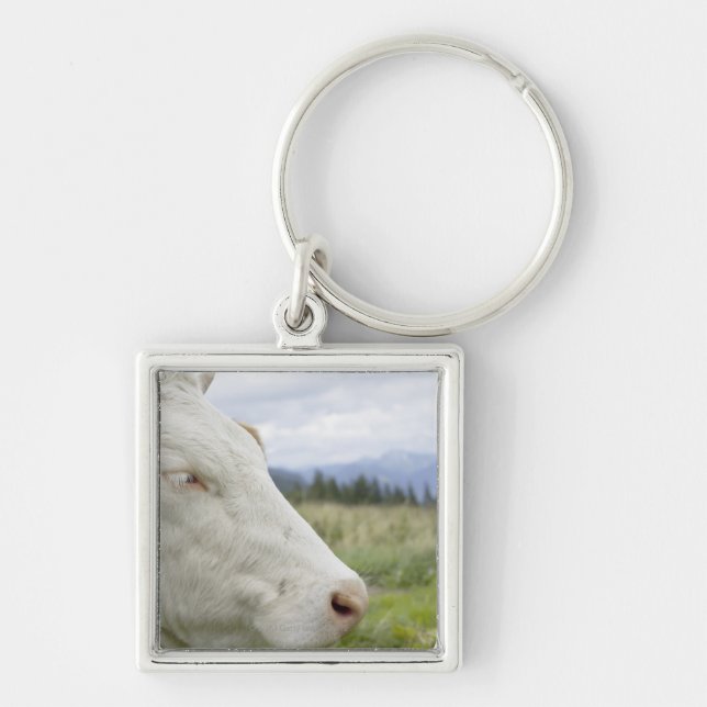 Chaveiro Vaca de Brown com um sinal nele? orelha de s em um (Frente)