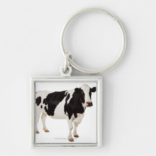 Chaveiro Vaca de Holstein (taurus do Bos)